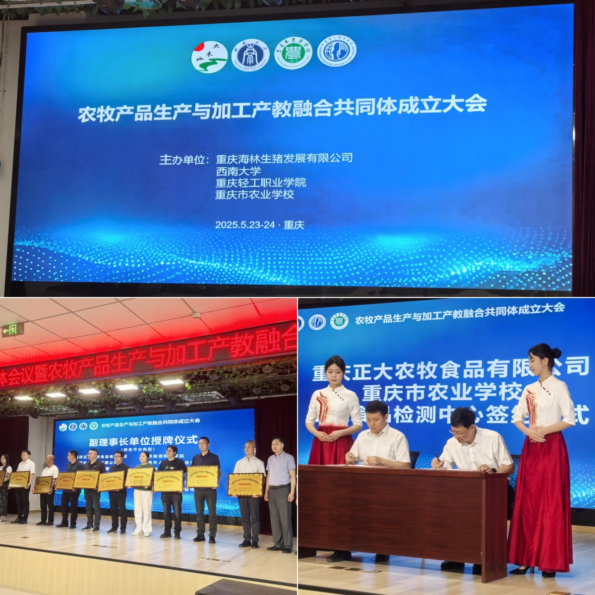 圖片4.png 圖片4.png